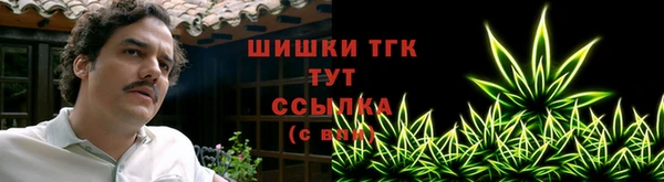 ECSTASY Навашино